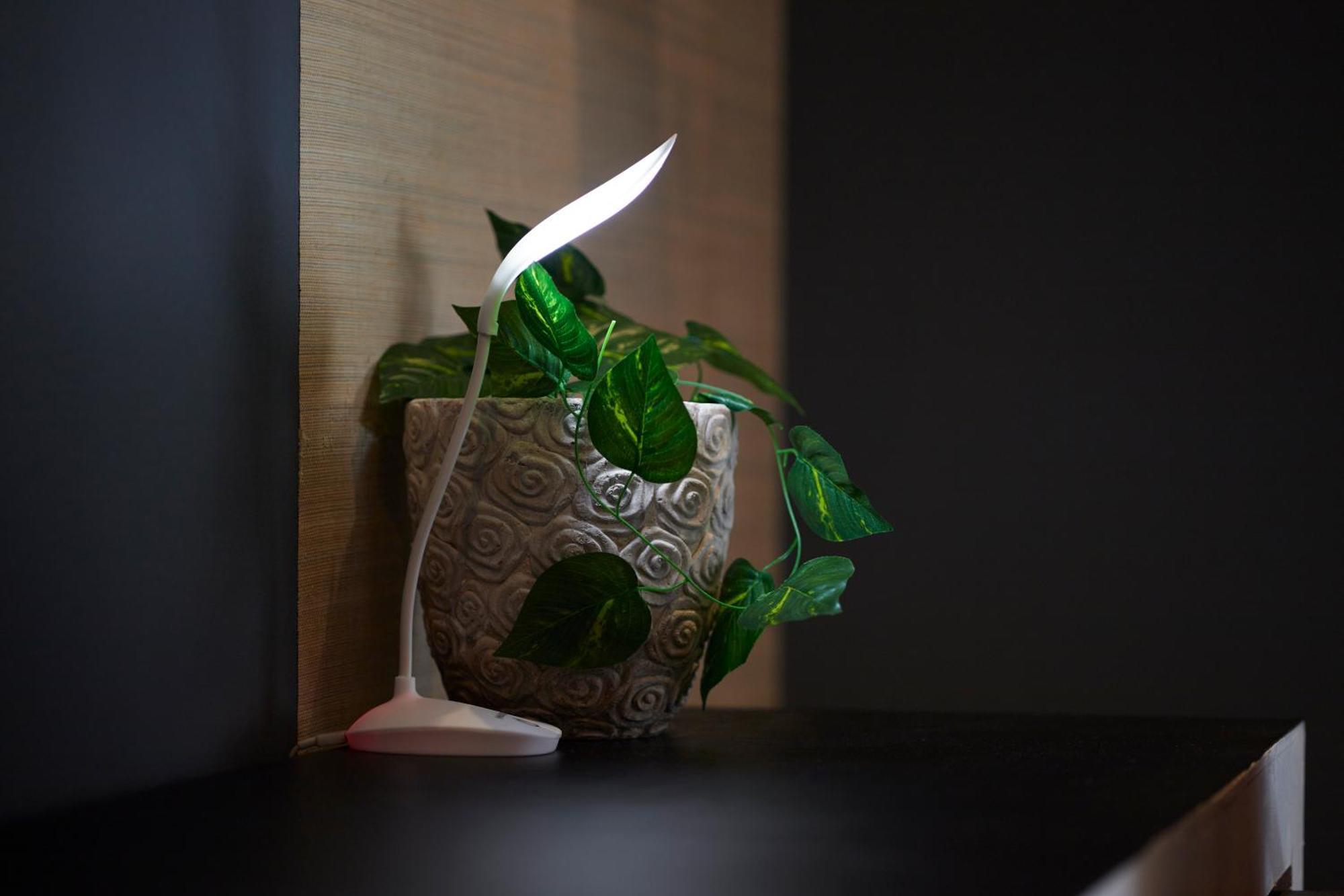 Apartamento Sunny, Living! *
